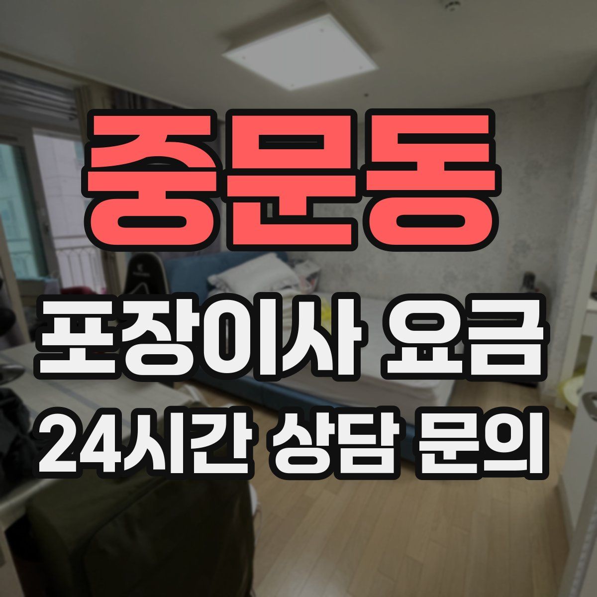 중문동 포장이사 요금