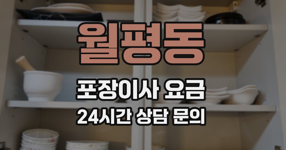 월평동 포장이사 요금