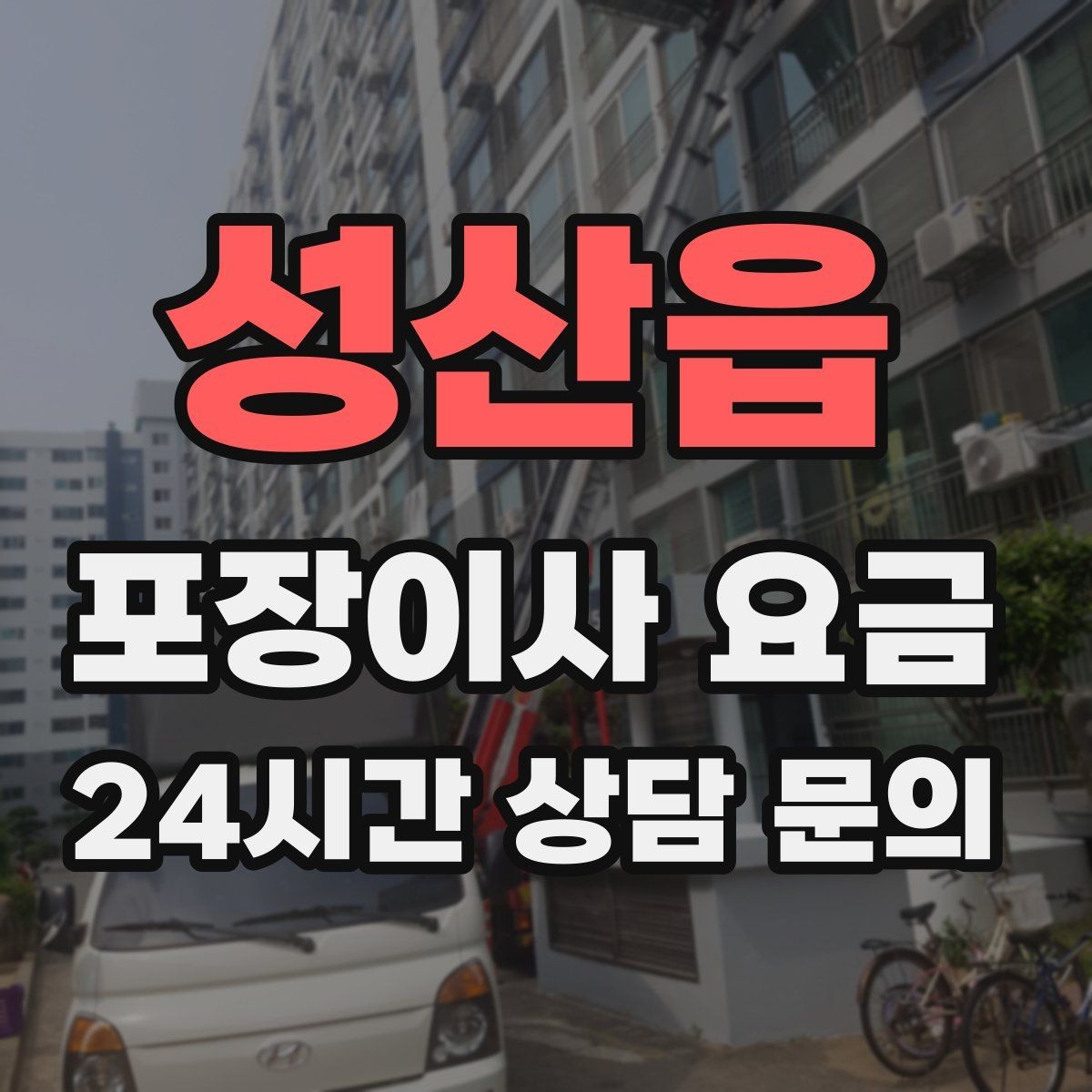 성산읍 포장이사 요금 반려동물 이사 준비가 비용에 미치는 영향