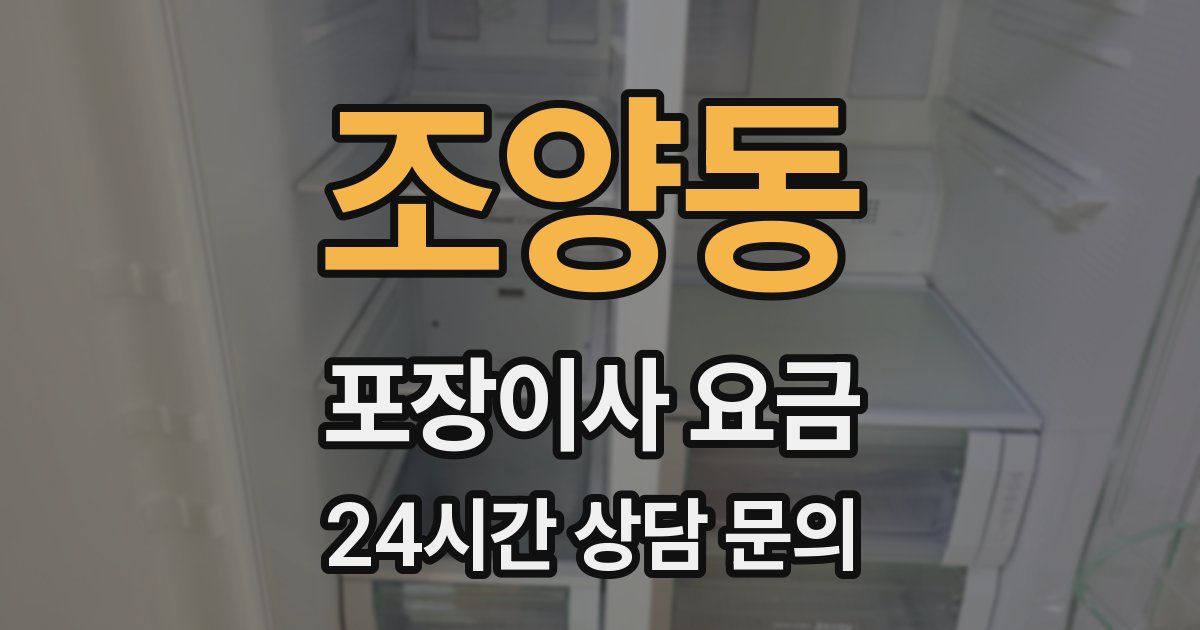 조양동 포장이사 요금