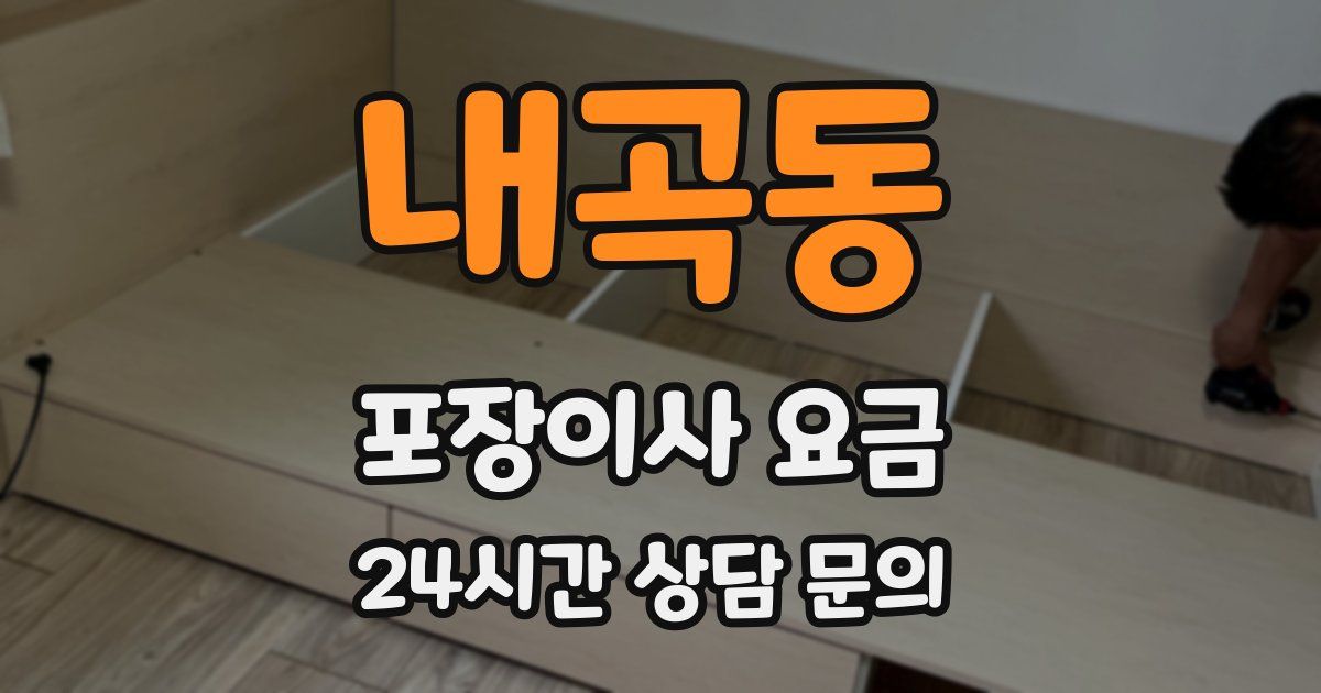 내곡동 포장이사 요금