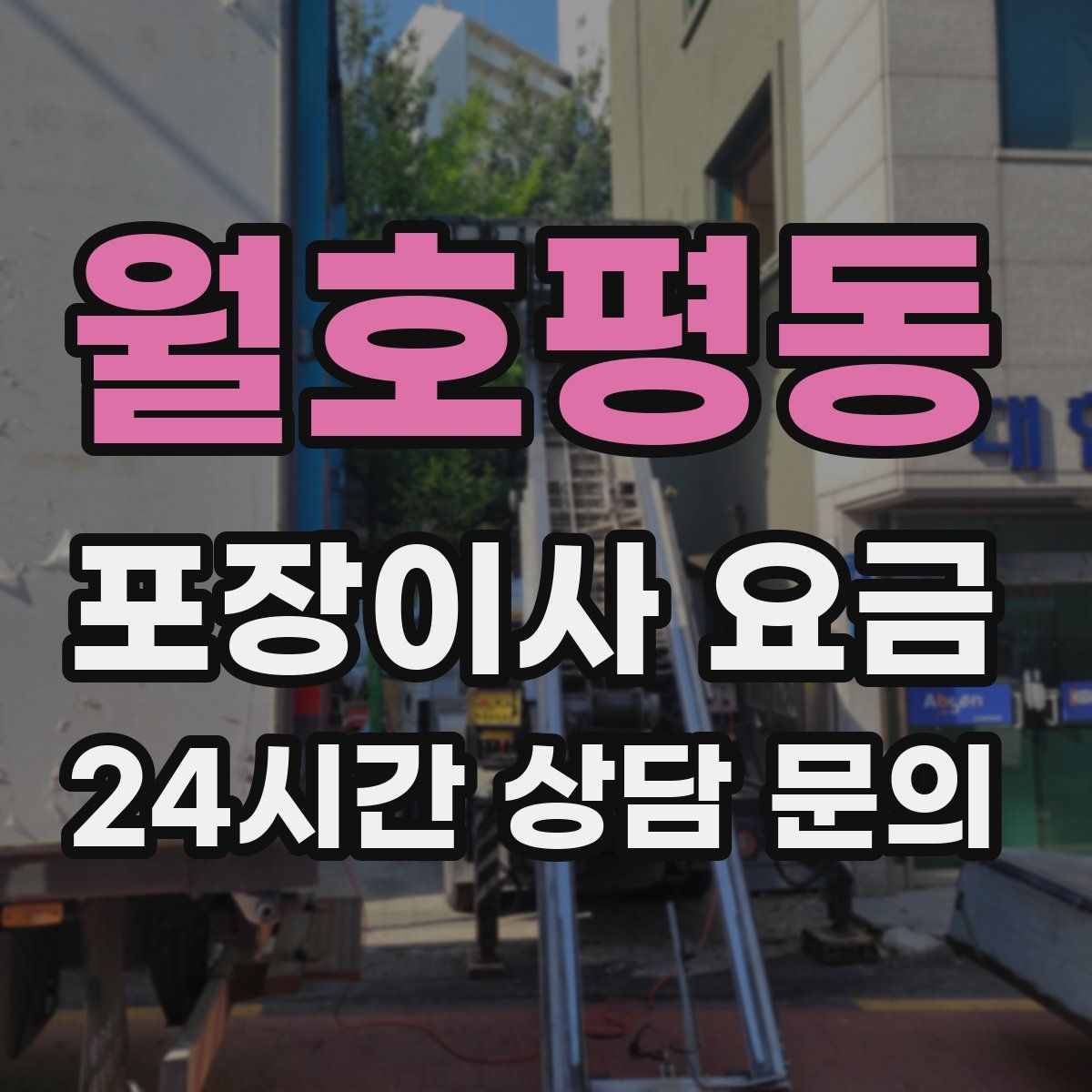 월호평동 포장이사 요금