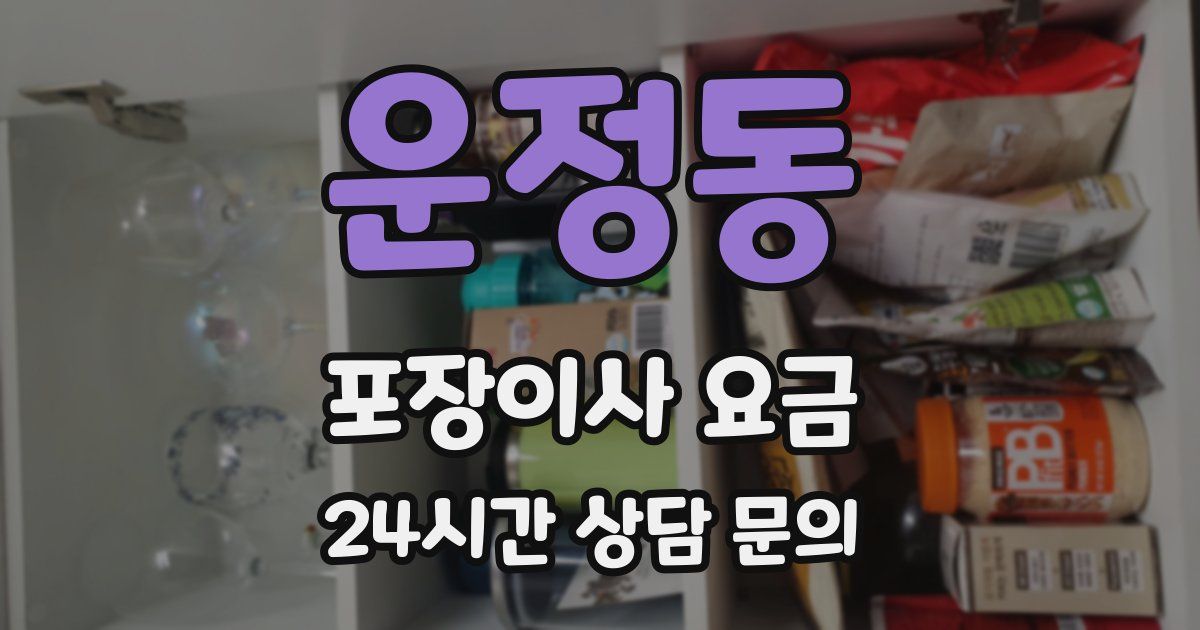 운정동 포장이사 요금