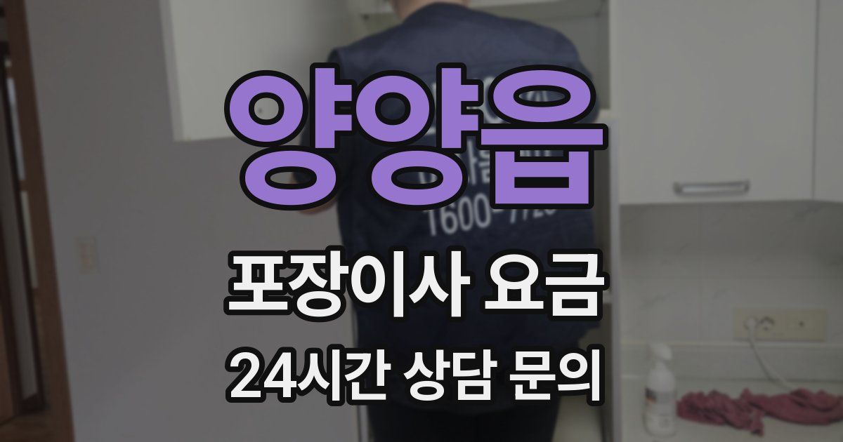양양읍 포장이사 요금