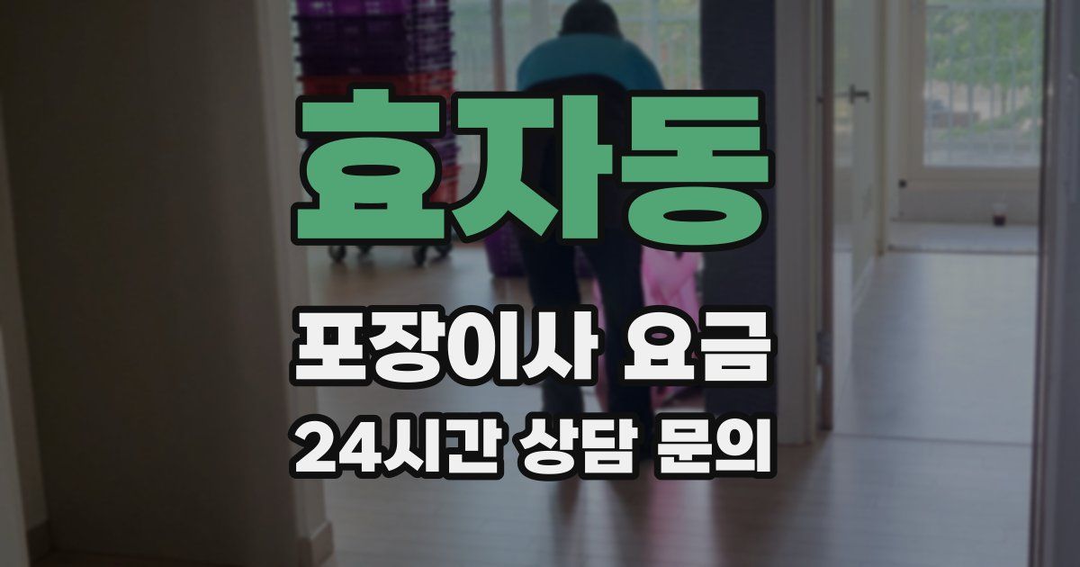효자동 포장이사 요금