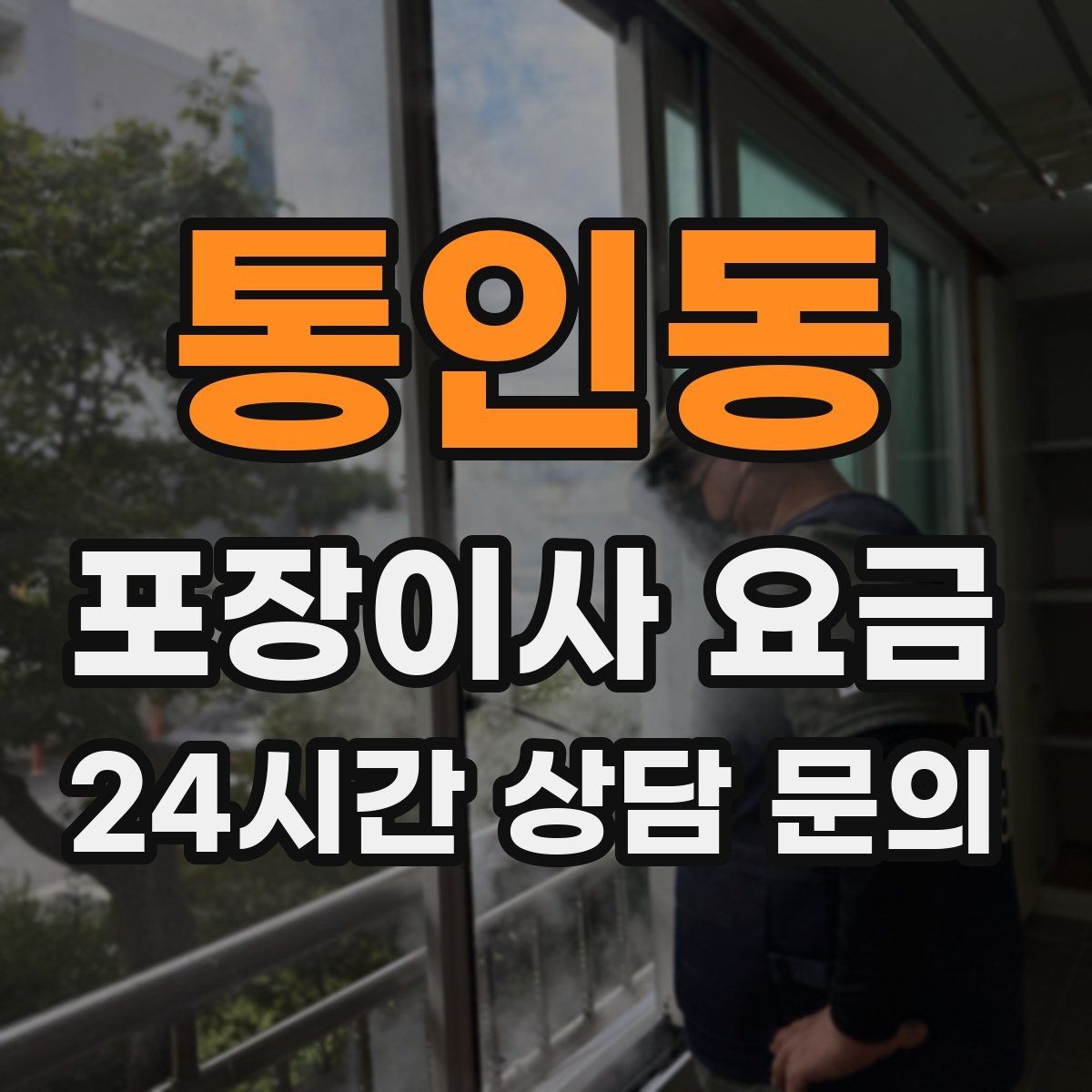 통인동 포장이사 요금 반려동물 이사 준비가 비용에 미치는 영향
