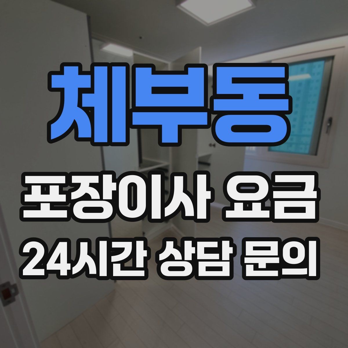 체부동 포장이사 요금 짐을 축소하면 어느 정도 절감될까