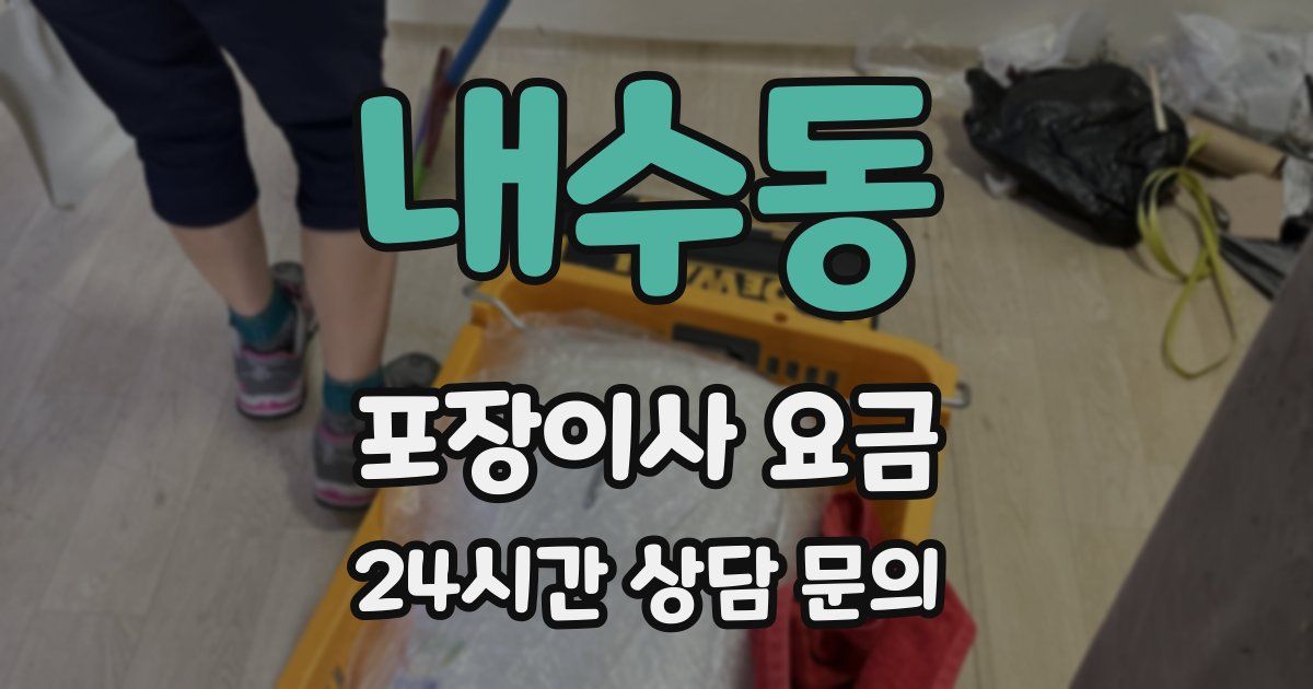 내수동 포장이사 요금
