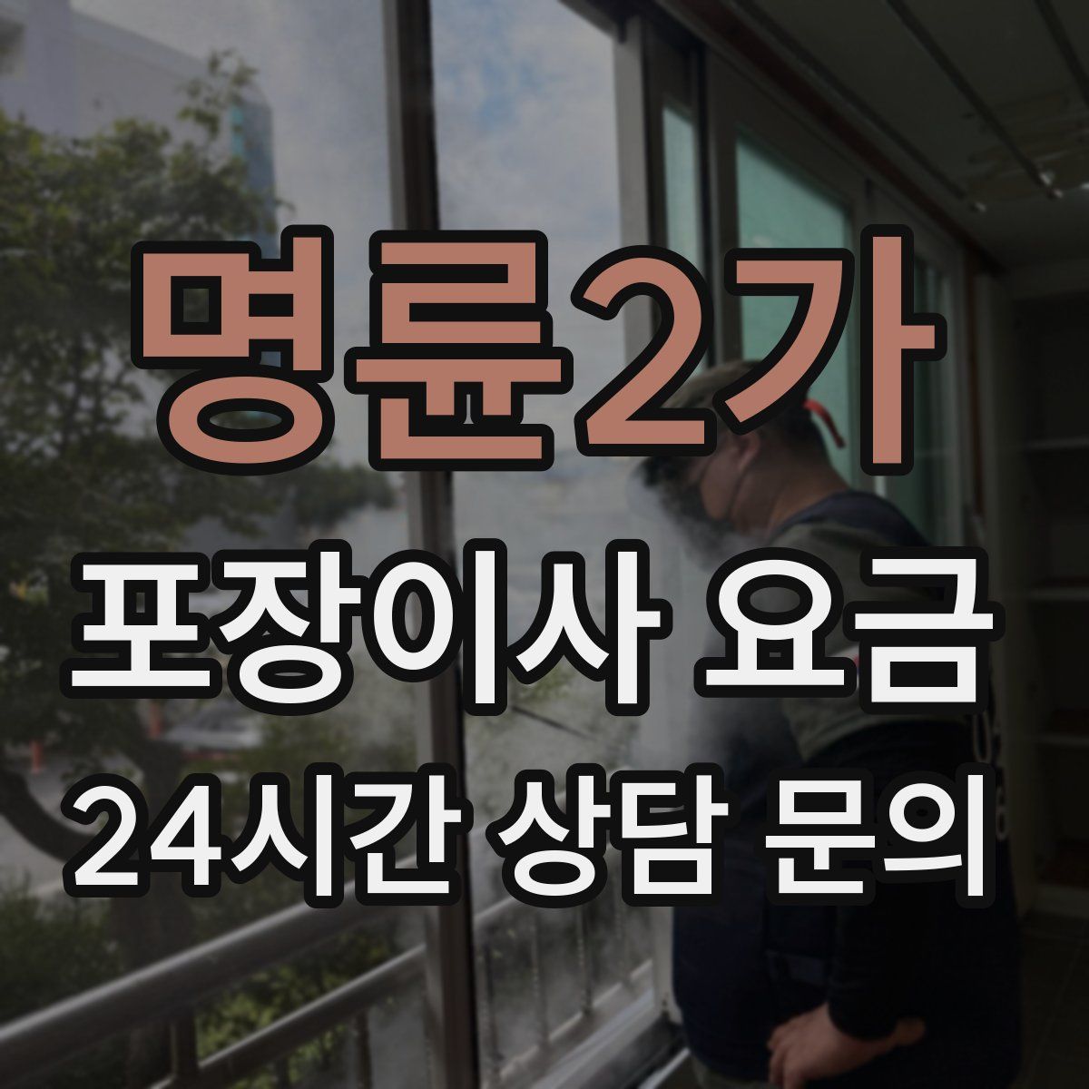 명륜2가 포장이사 요금