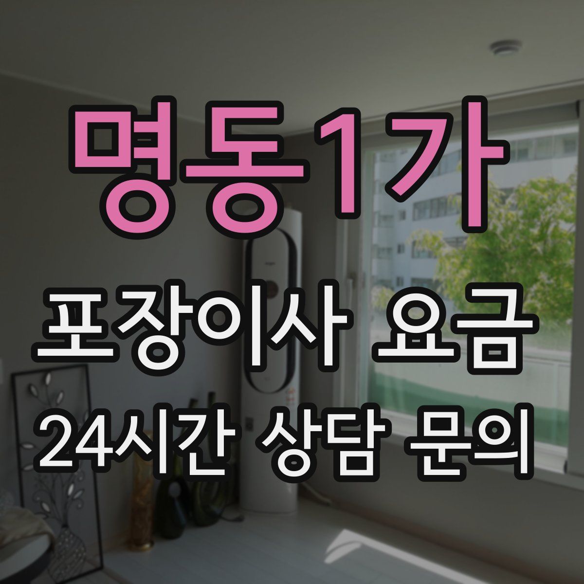 명동1가 포장이사 요금