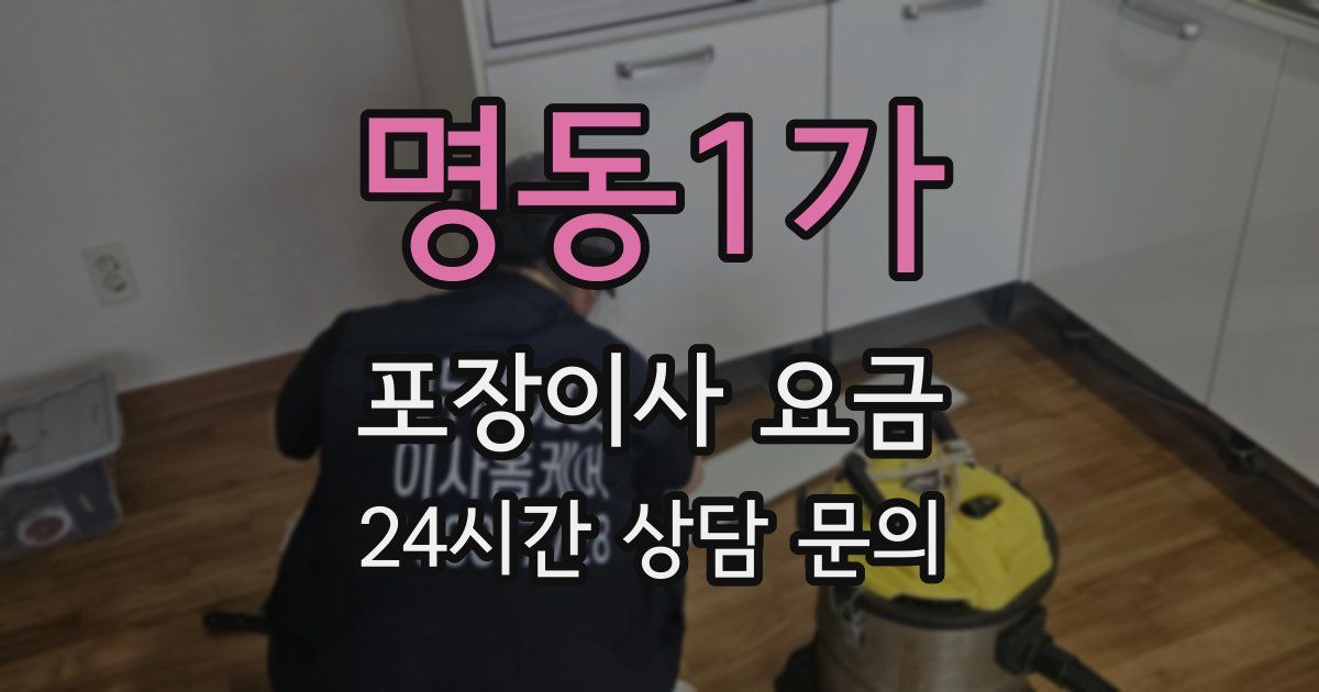 명동1가 포장이사 요금