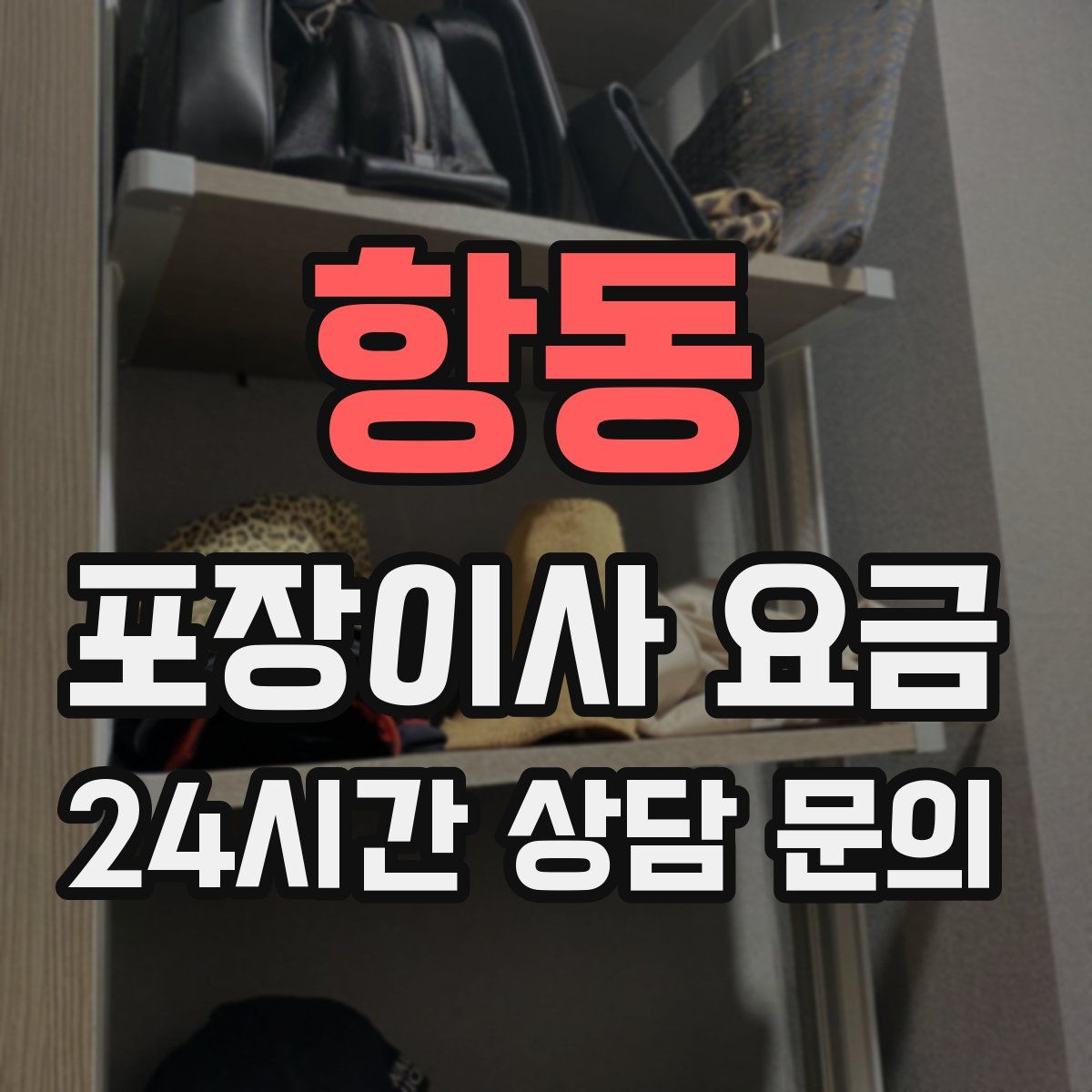 항동 포장이사 요금