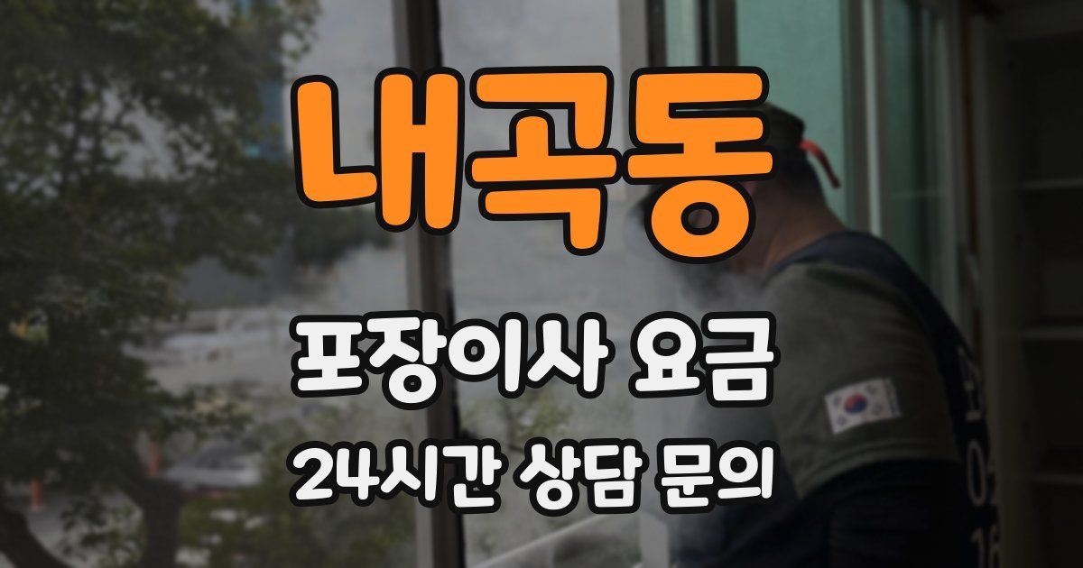 내곡동 포장이사 요금