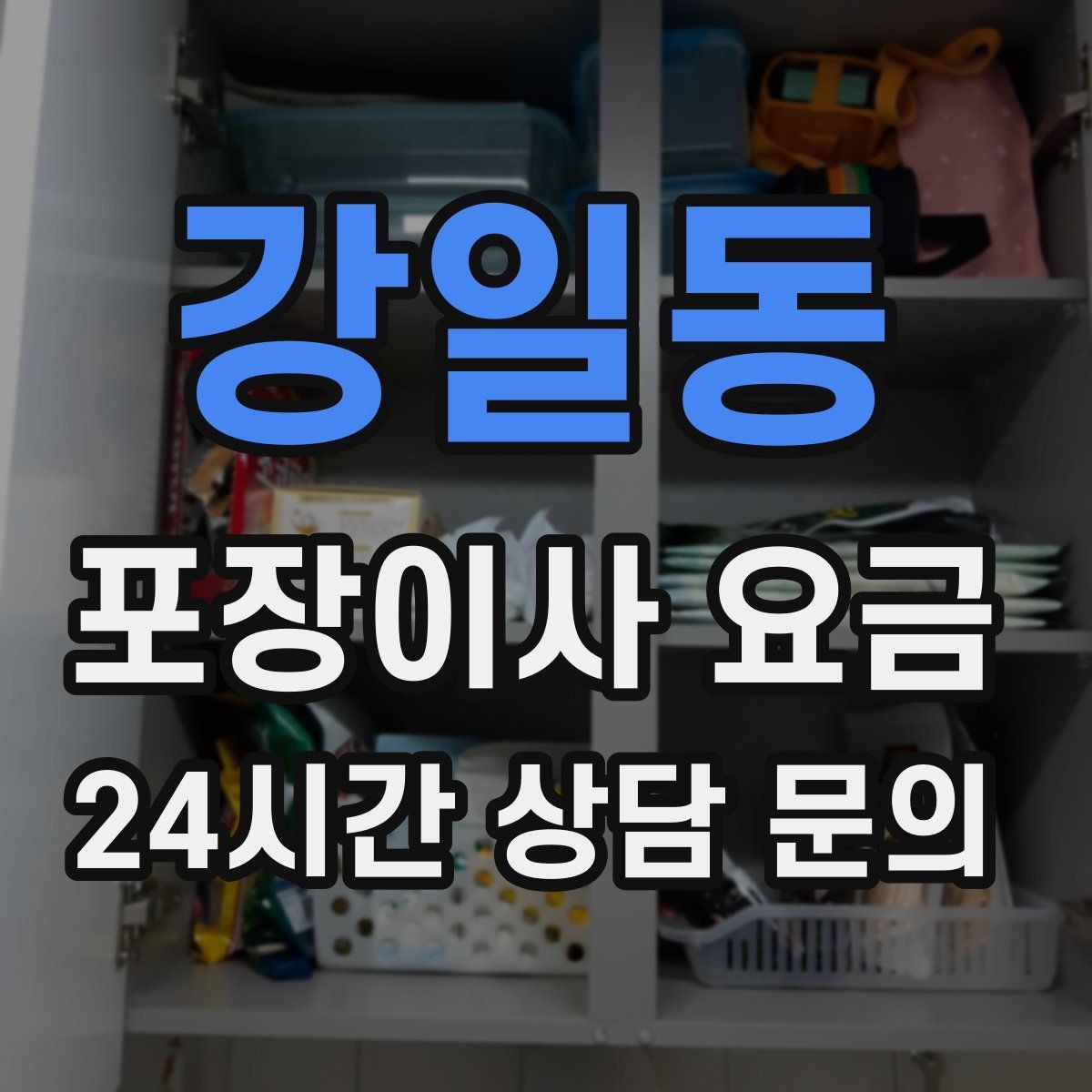 강일동 포장이사 요금 어항·대형 화분이 있을 때 견적 포인트