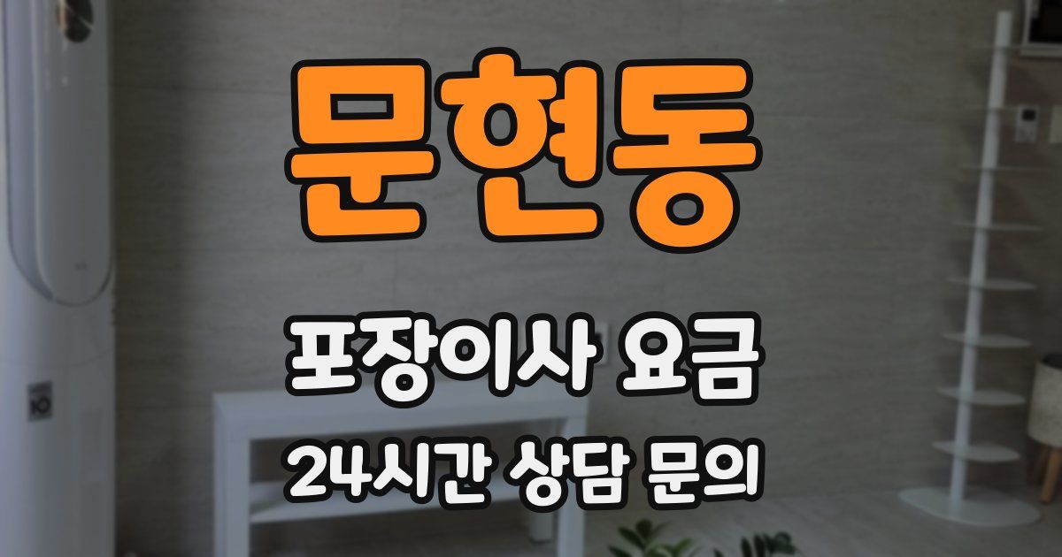 문현동 포장이사 요금