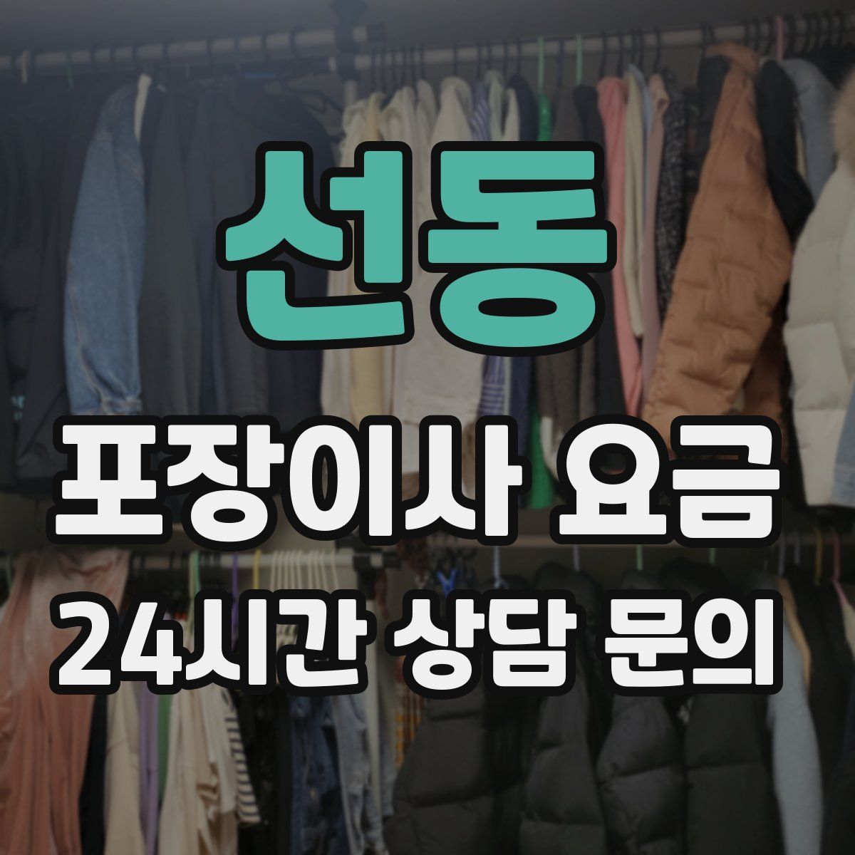 선동 포장이사 요금