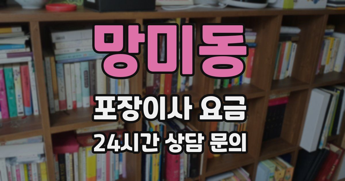 망미동 포장이사 요금
