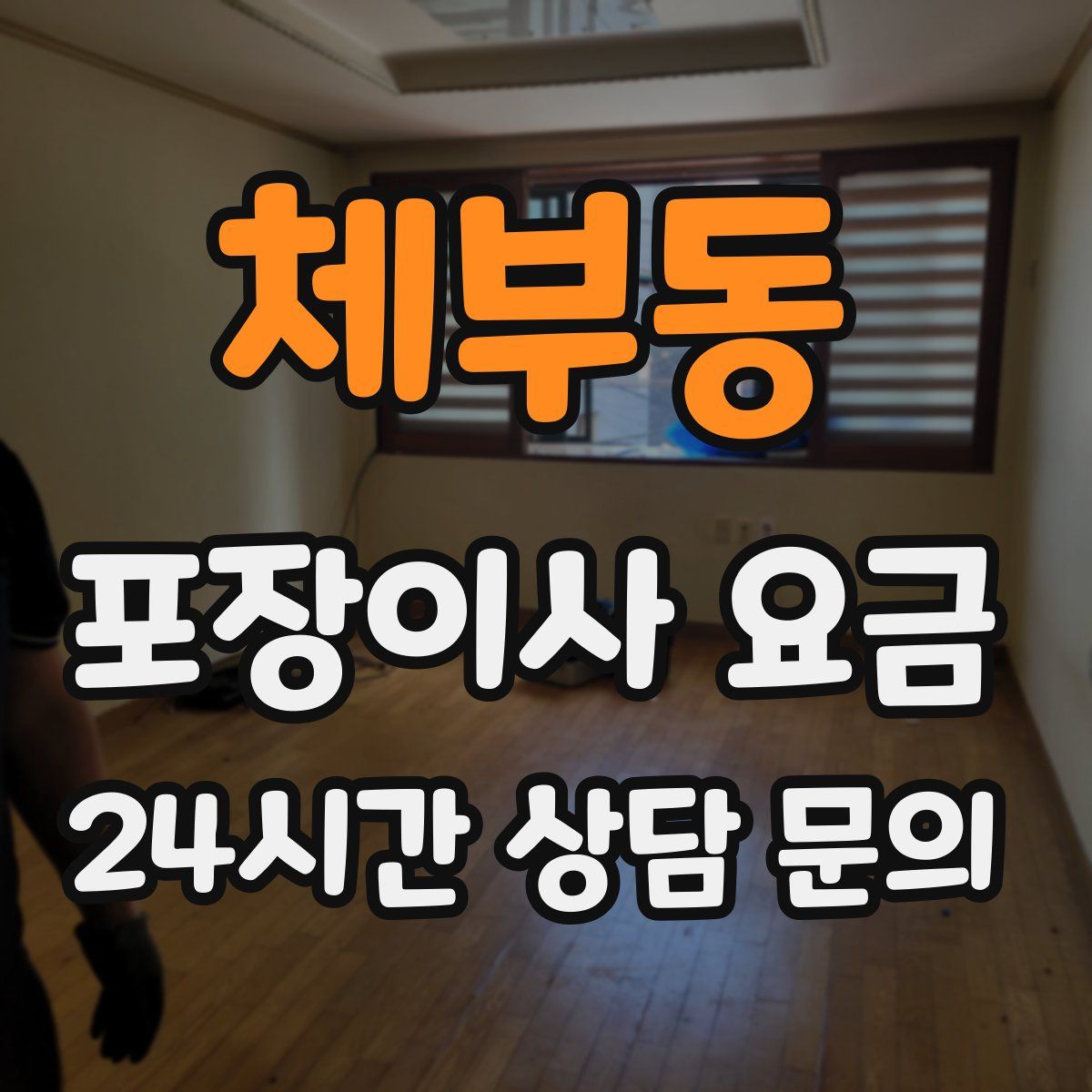 체부동 포장이사 요금