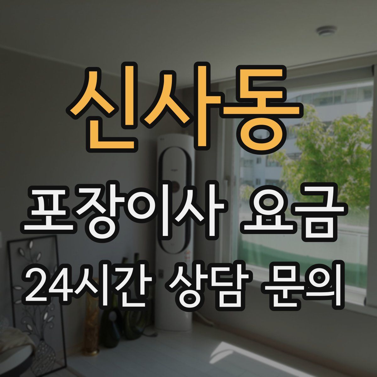 신사동 포장이사 요금