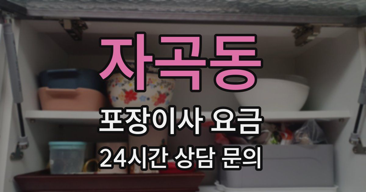 자곡동 포장이사 요금