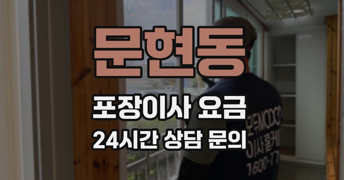 문현동 포장이사 요금