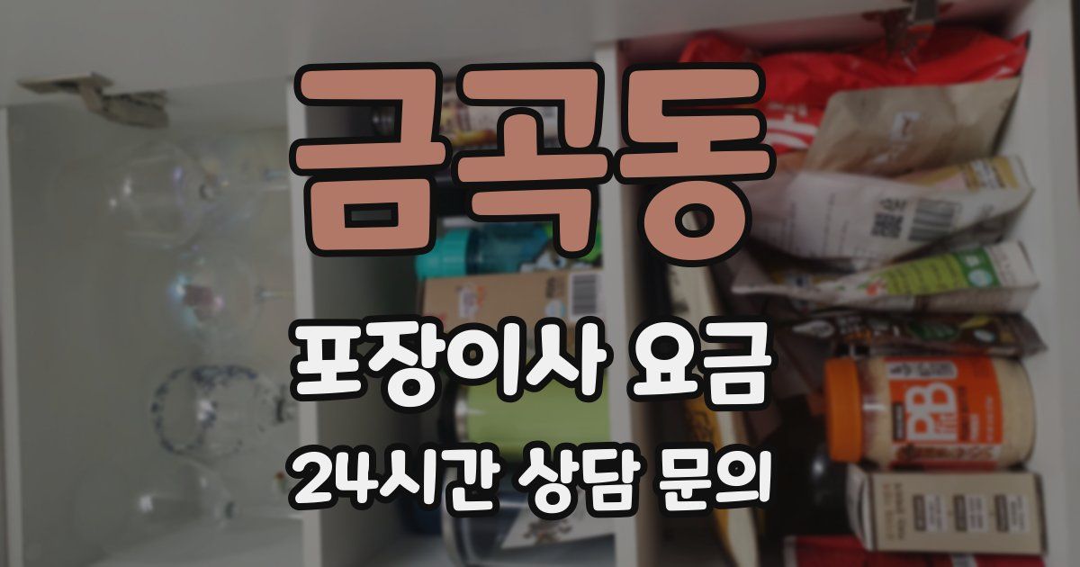 금곡동 포장이사 요금