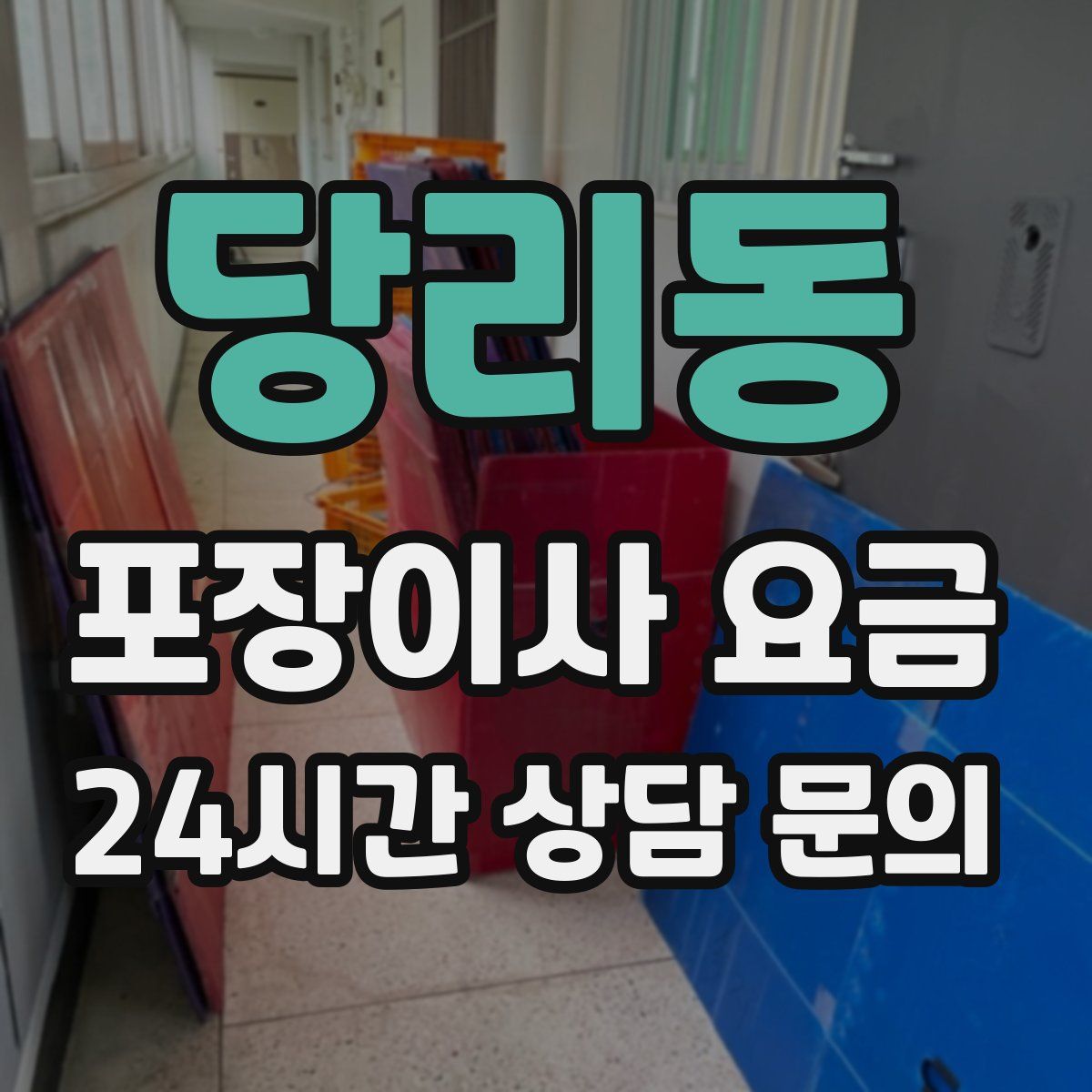 당리동 포장이사 요금