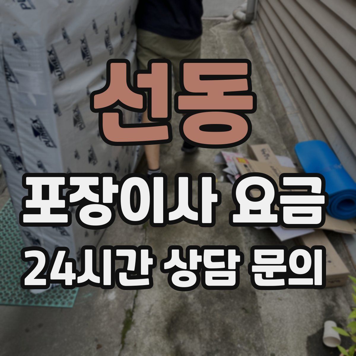 선동 포장이사 요금