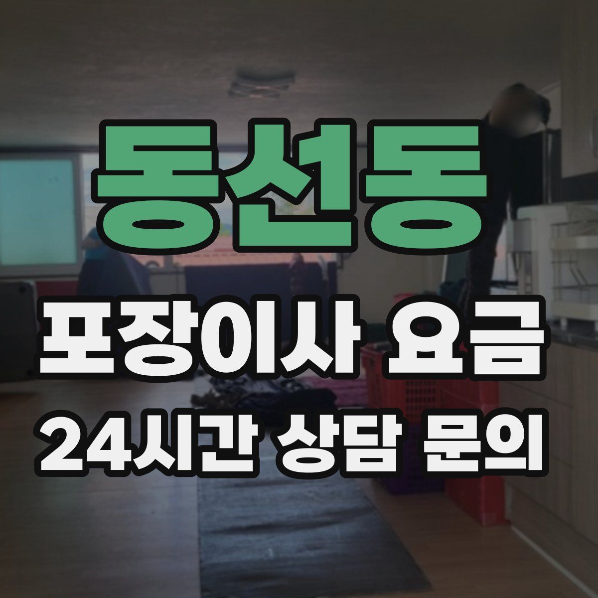 동선동 포장이사 요금