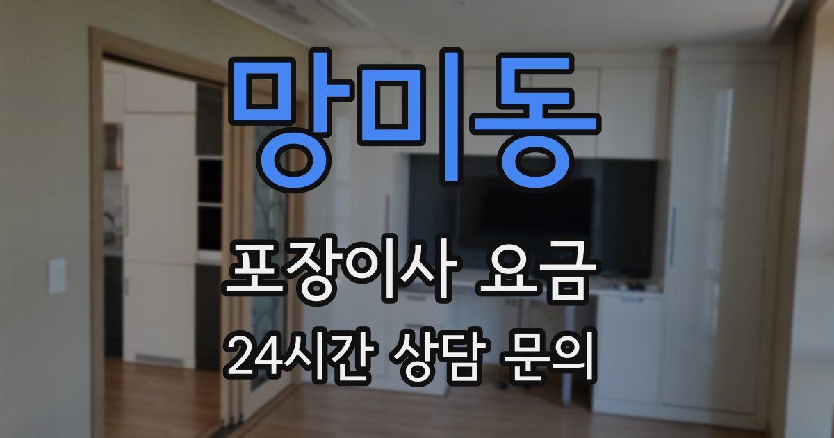 망미동 포장이사 요금