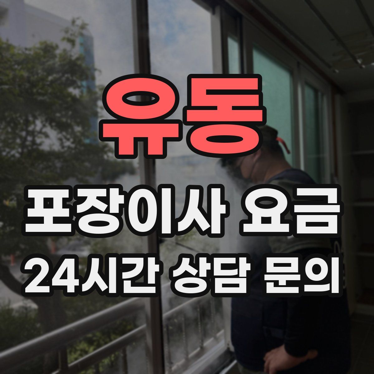 유동 포장이사 요금