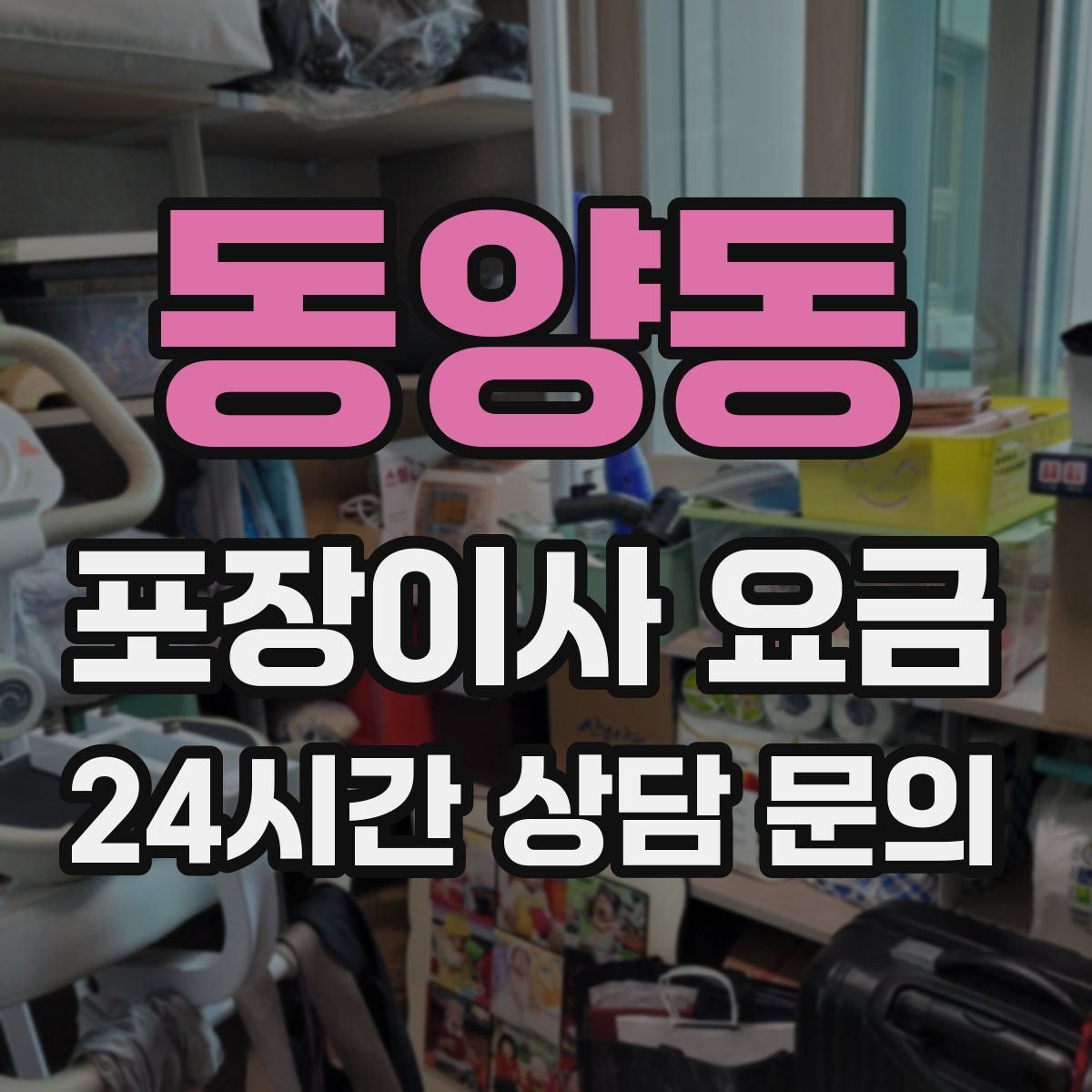 동양동 포장이사 요금