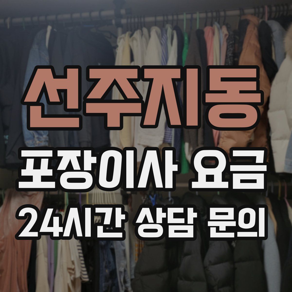 선주지동 포장이사 요금