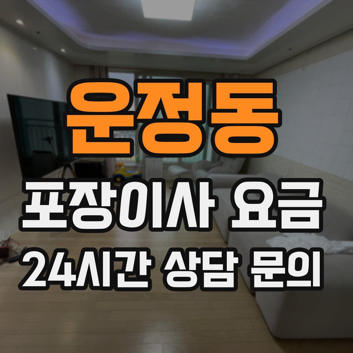 운정동 포장이사 요금