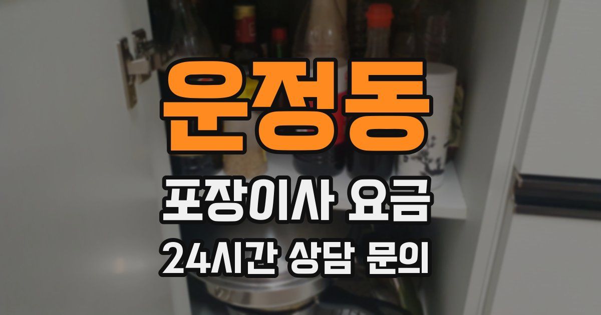 운정동 포장이사 요금