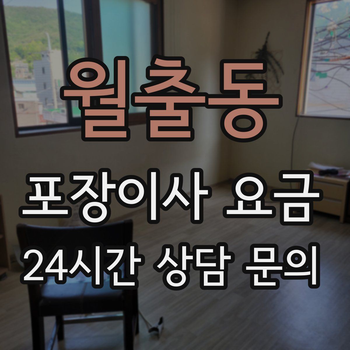 월출동 포장이사 요금