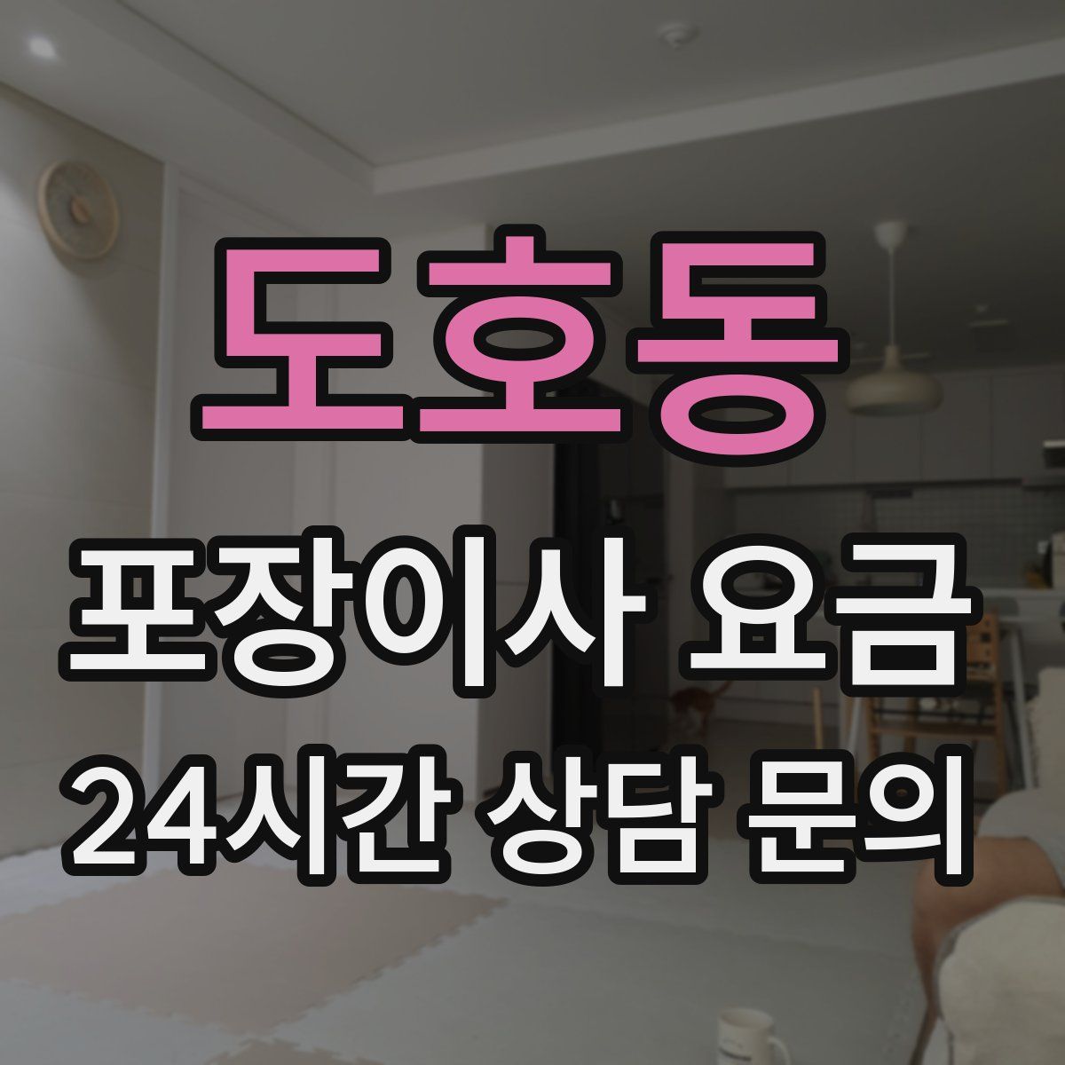 도호동 포장이사 요금