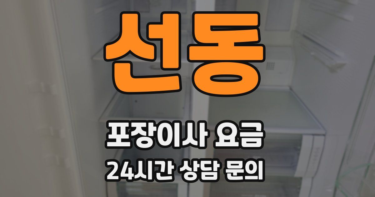 선동 포장이사 요금