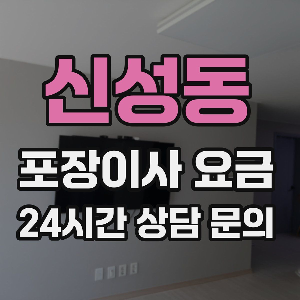 신성동 포장이사 요금