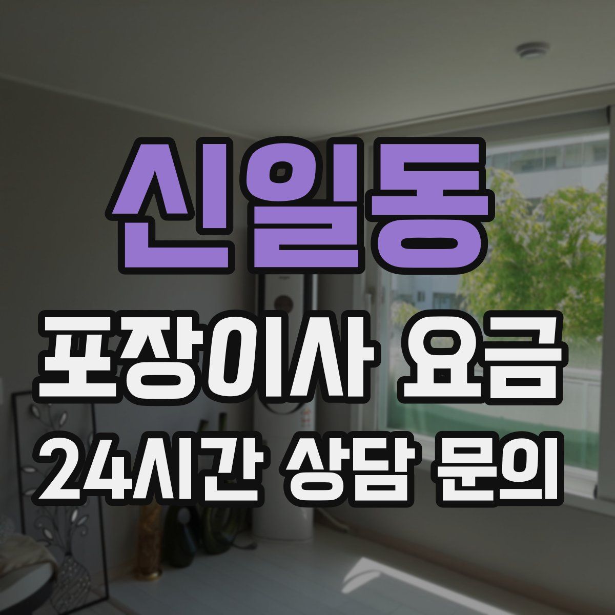 신일동 포장이사 요금
