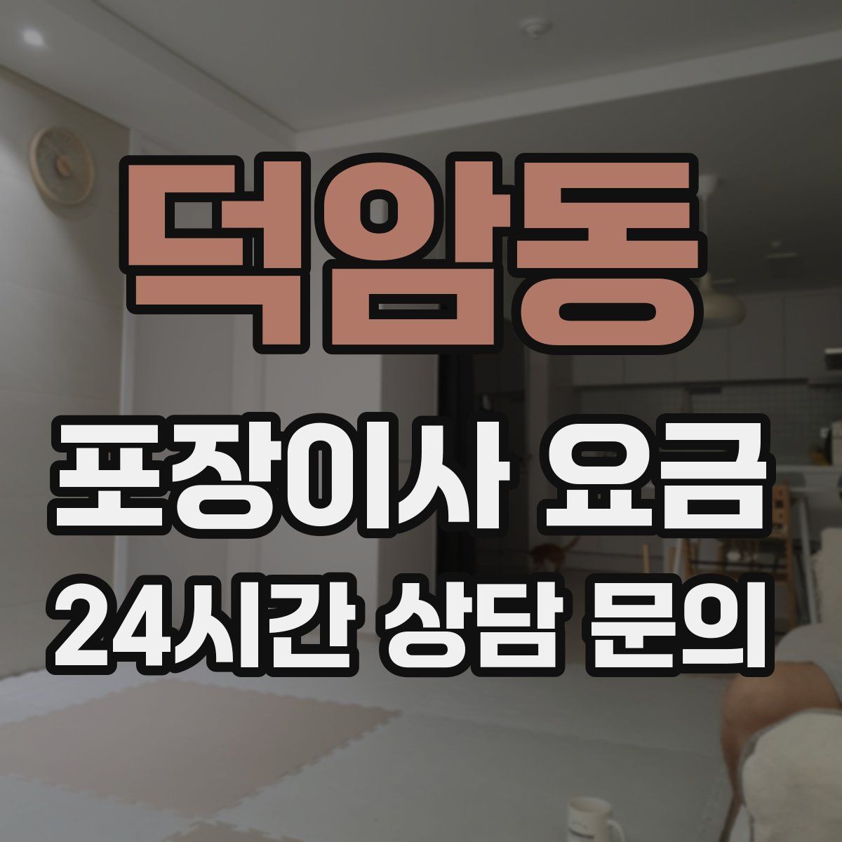 덕암동 포장이사 요금