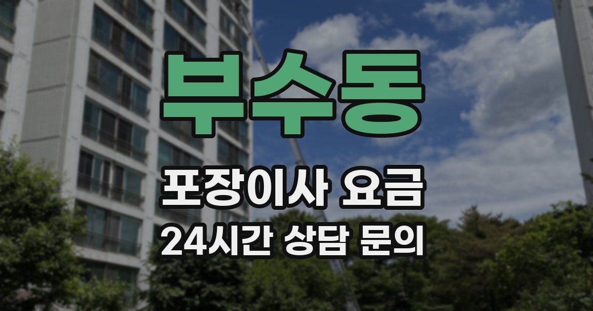 부수동 포장이사 요금