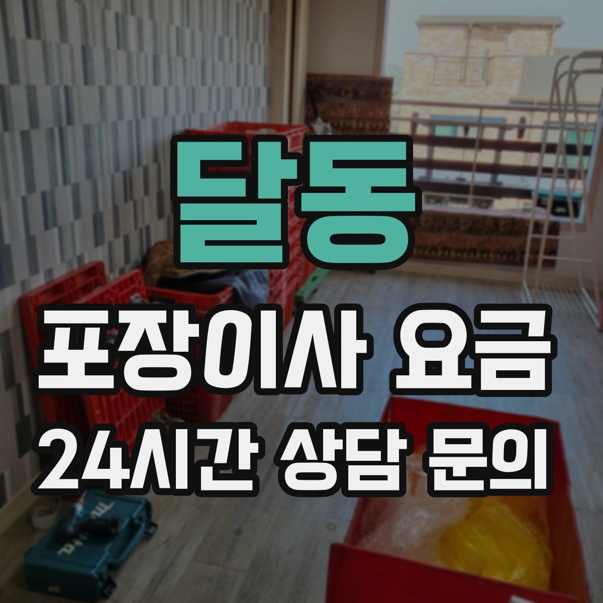 달동 포장이사 요금