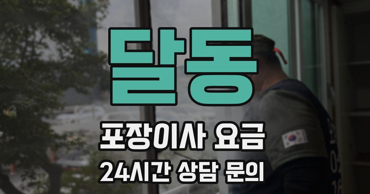 달동 포장이사 요금