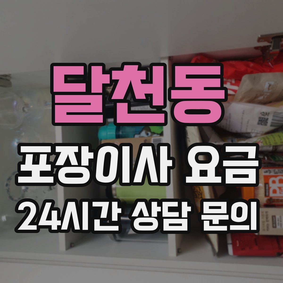 달천동 포장이사 요금