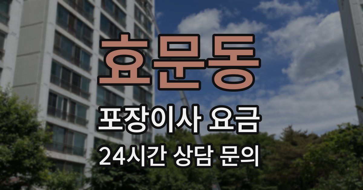 효문동 포장이사 요금