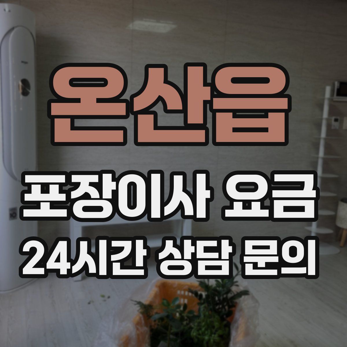 온산읍 포장이사 요금