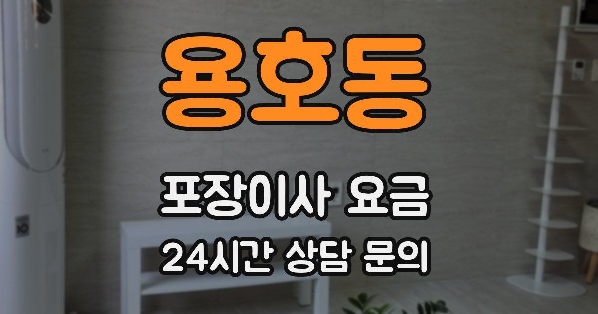 용호동 포장이사 요금