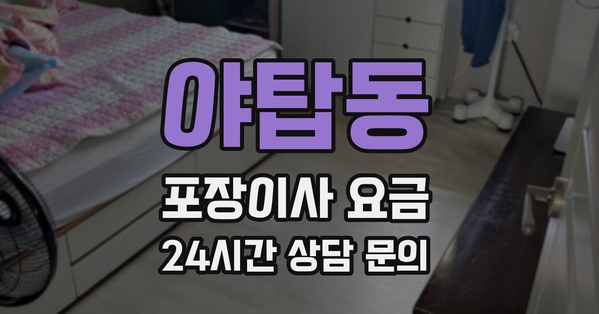 야탑동 포장이사 요금