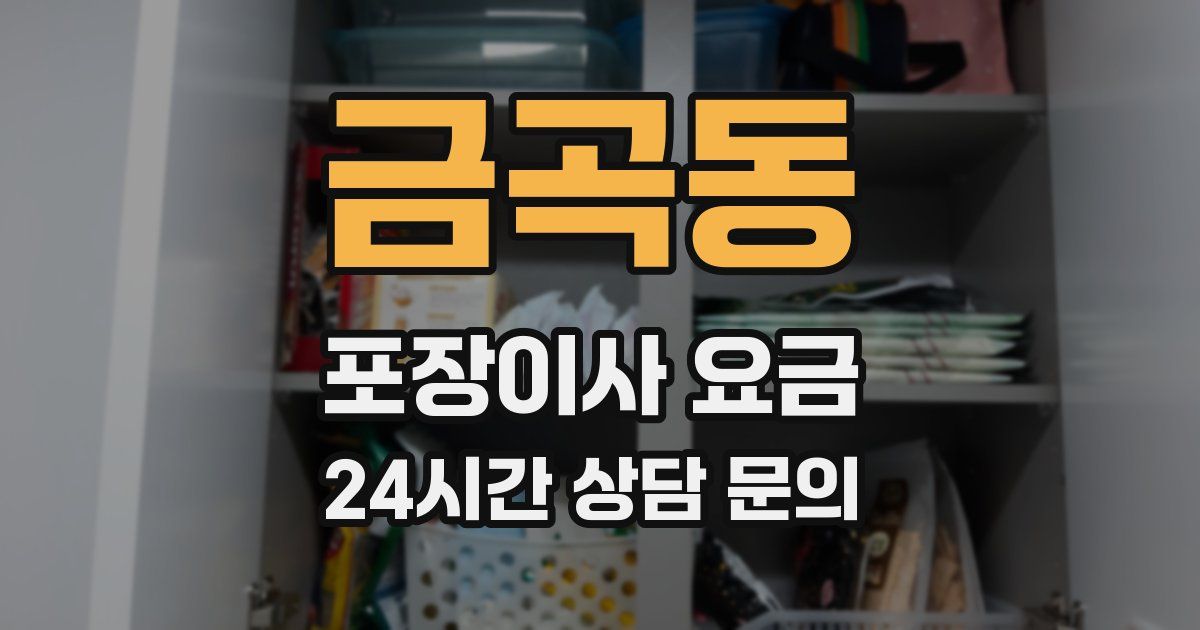 금곡동 포장이사 요금